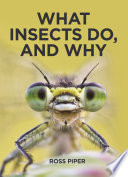What insects do, and why /