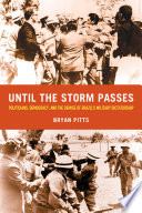 Until the storm passes : politicians, democracy, and the demise of Brazil's military dictatorship /