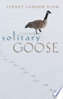 Solitary goose /