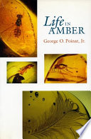 Life in amber /