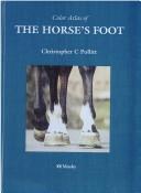 Color atlas of the horse's foot /