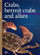 Crabs, hermit crabs and allies /