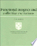 Functional integrals and collective excitations /