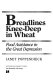 Breadlines knee deep in wheat : food assistance in the Great Depression /