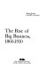 The rise of big business, 1860-1910 /