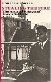 Stealing the fire : the art and protest of James Baldwin /