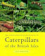 The colour identification guide to caterpillars of the British Isles (Macrolepidoptera) /