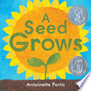 A seed grows /