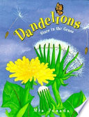 Dandelions : stars in the grass /