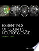 Essentials of cognitive neuroscience /