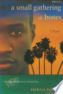 A small gathering of bones /