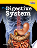 The digestive system /