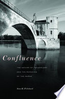 Confluence : the nature of technology and the remaking of the Rhône /