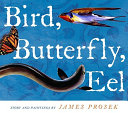 Bird, butterfly, eel /