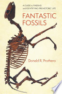 Fantastic fossils : a guide to finding and identifying prehistoric life /