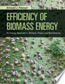 Efficiency of biomass energy : an exergy approach to biofuels, power, and biorefineries /