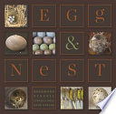 Egg & nest /