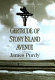 Gertrude of Stony Island Avenue : a novel /