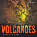 Volcanoes : encounters through the ages /