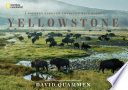 Yellowstone : a journey through America's wild heart /