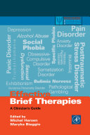 Doing what works in brief therapy : a strategic solution focused approach /