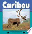 Caribou /