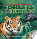 Forests & jungles /