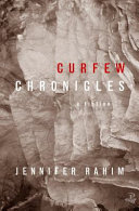 Curfew chronicles : a fiction /
