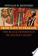 From slave to pharaoh : the black experience of ancient Egypt /