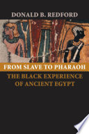 From slave to pharaoh : the black experience of ancient Egypt /