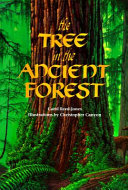 The tree in the ancient forest /