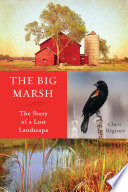 The Big Marsh : the story of a lost landscape /