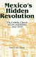 Mexico's hidden revolution : the Catholic Church in law and politics since 1929 /