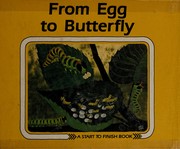 From egg to butterfly /