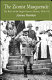 The Zionist masquerade : the birth of the Anglo-Zionist alliance 1914-1918 /