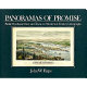 Panoramas of promise : Pacific Northwest cities and towns on nineteenth-century lithographs /