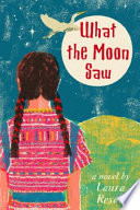 What the moon saw : a novel /