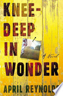 Knee-deep in wonder : a novel /