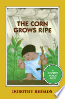 The corn grows ripe /