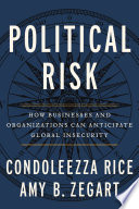 Political risk : how businesses and organizations can anticipate global insecurity /
