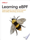 LEARNING EBPF programming the linux kernel for enhanced observability, networking, and security /