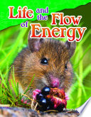 Life and the flow of energy /