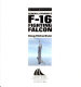 General Dynamics F-16 Fighting Falcon /