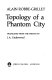 Topology of a phantom city /