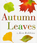Autumn leaves /