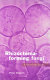Rhizoctonia-forming fungi : a taxonomic guide /