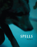 Spells : a novel within photographs /