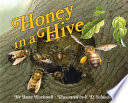 Honey in a hive /