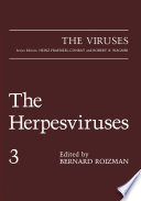 The Herpesviruses : Volume 3 /