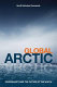 Global Arctic : sovereignty and the future of the North /